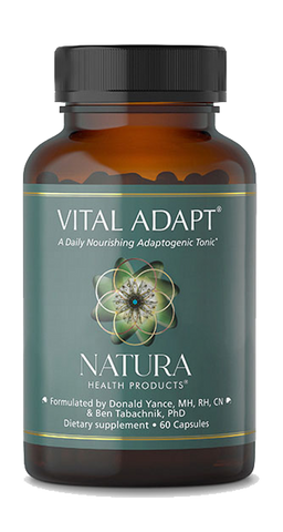 Vital Adapt